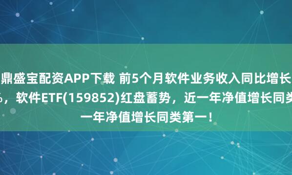鼎盛宝配资APP下载 前5个月软件业务收入同比增长11.2%，软件ETF(159852)红盘蓄势，近一年净值增长同类第一！